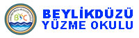 Beylikdüzü Yüzme Kursu